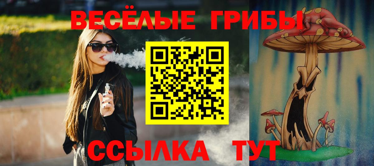 Галлюциногенные грибы прущие грибы  Псилоцибиновые грибы GOLDEN TEACHER  сколько стоит  Александров  Вход с VPN 